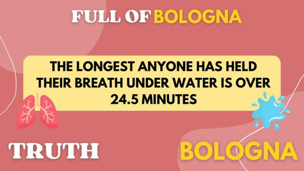 Full of Bologna image number null